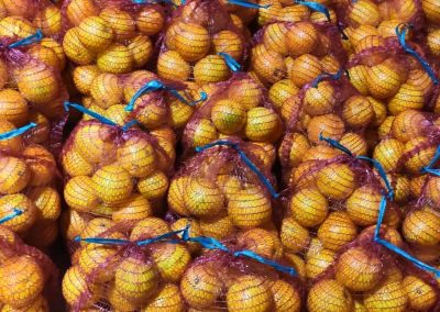 Sacos de naranjas Fitosanitarios y suministros agrícolas JM